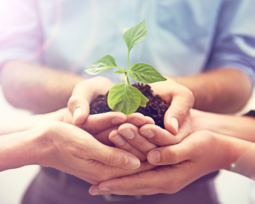 Environment Safety Policy